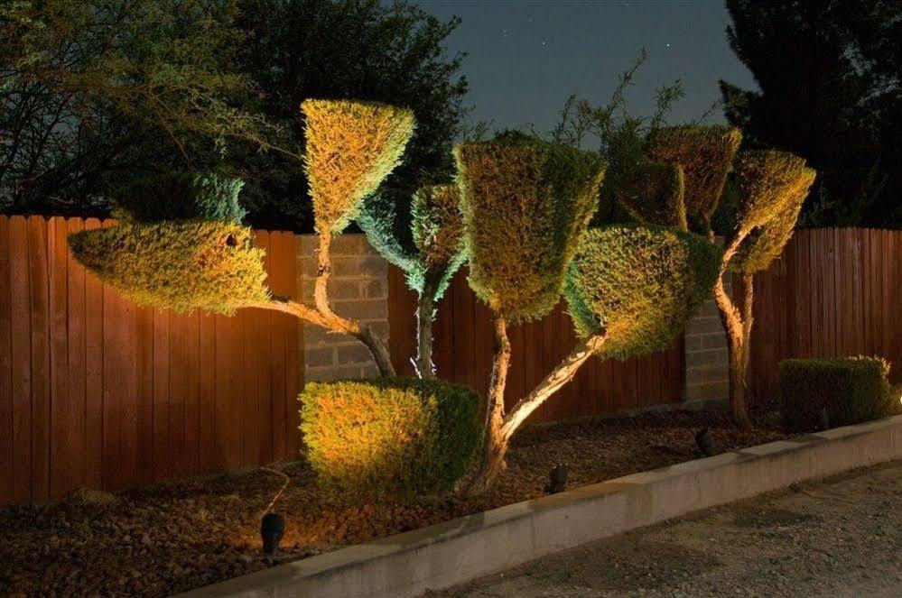 Desert Rose Bed And Breakfast Cottonwood Exterior foto